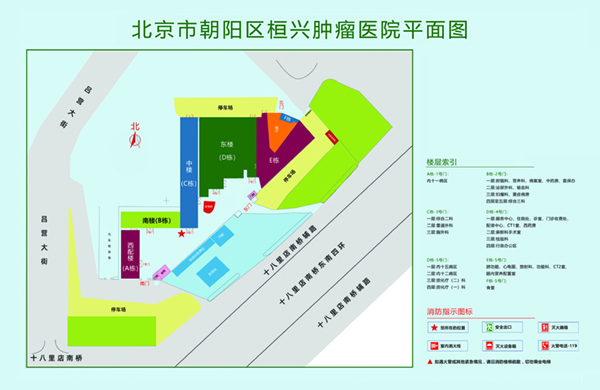 曰韩操屄北京市朝阳区桓兴肿瘤医院平面图